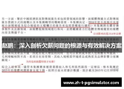 赵鹏：深入剖析欠薪问题的根源与有效解决方案