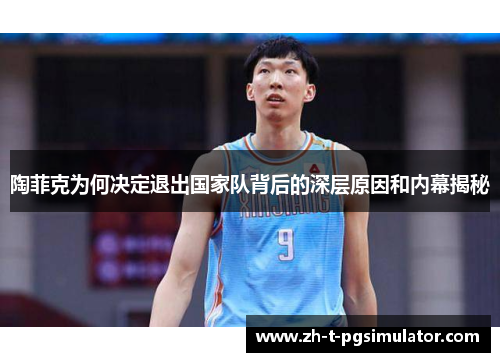 陶菲克为何决定退出国家队背后的深层原因和内幕揭秘